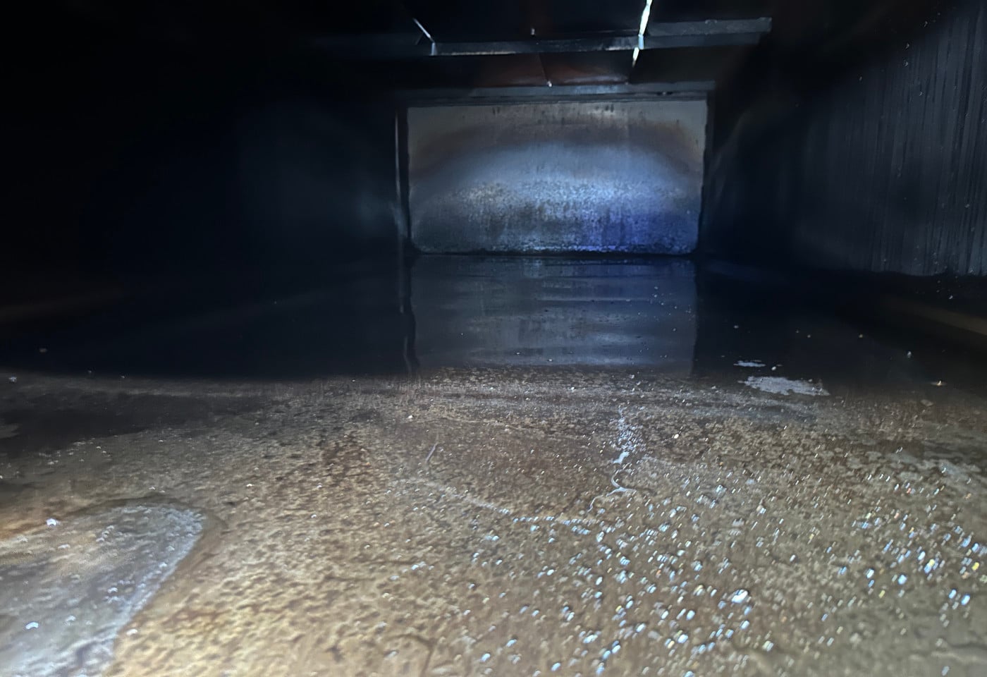 MOTO6625_2847763 vehicle image