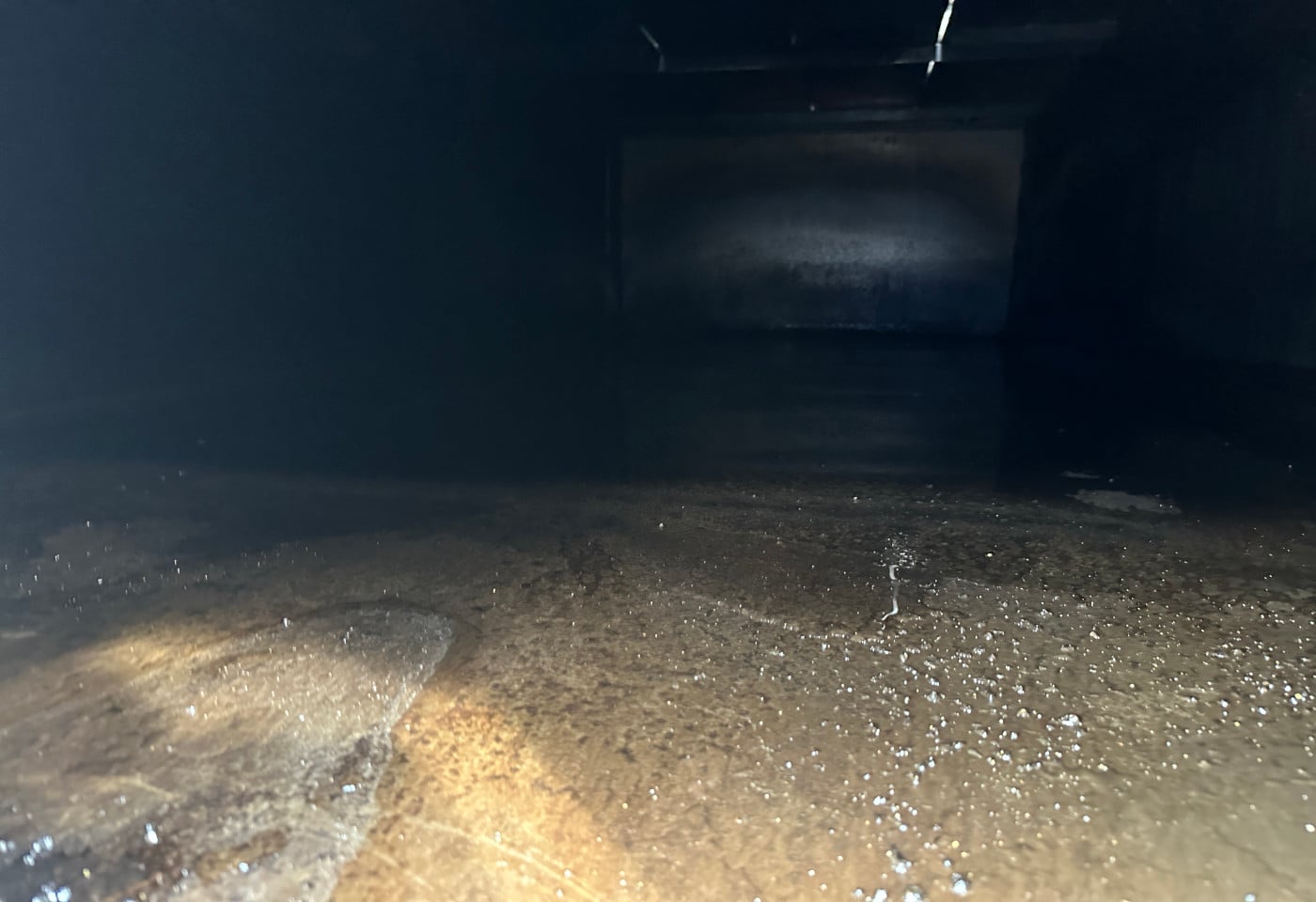 MOTO6625_2847763 vehicle image