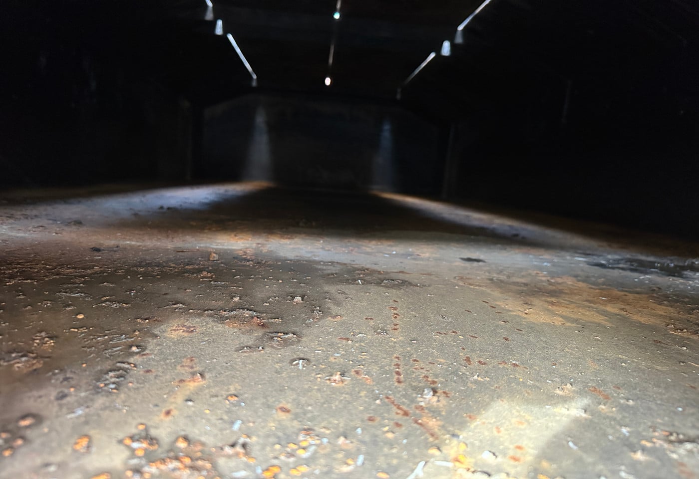 MOTO6625_2848572 vehicle image